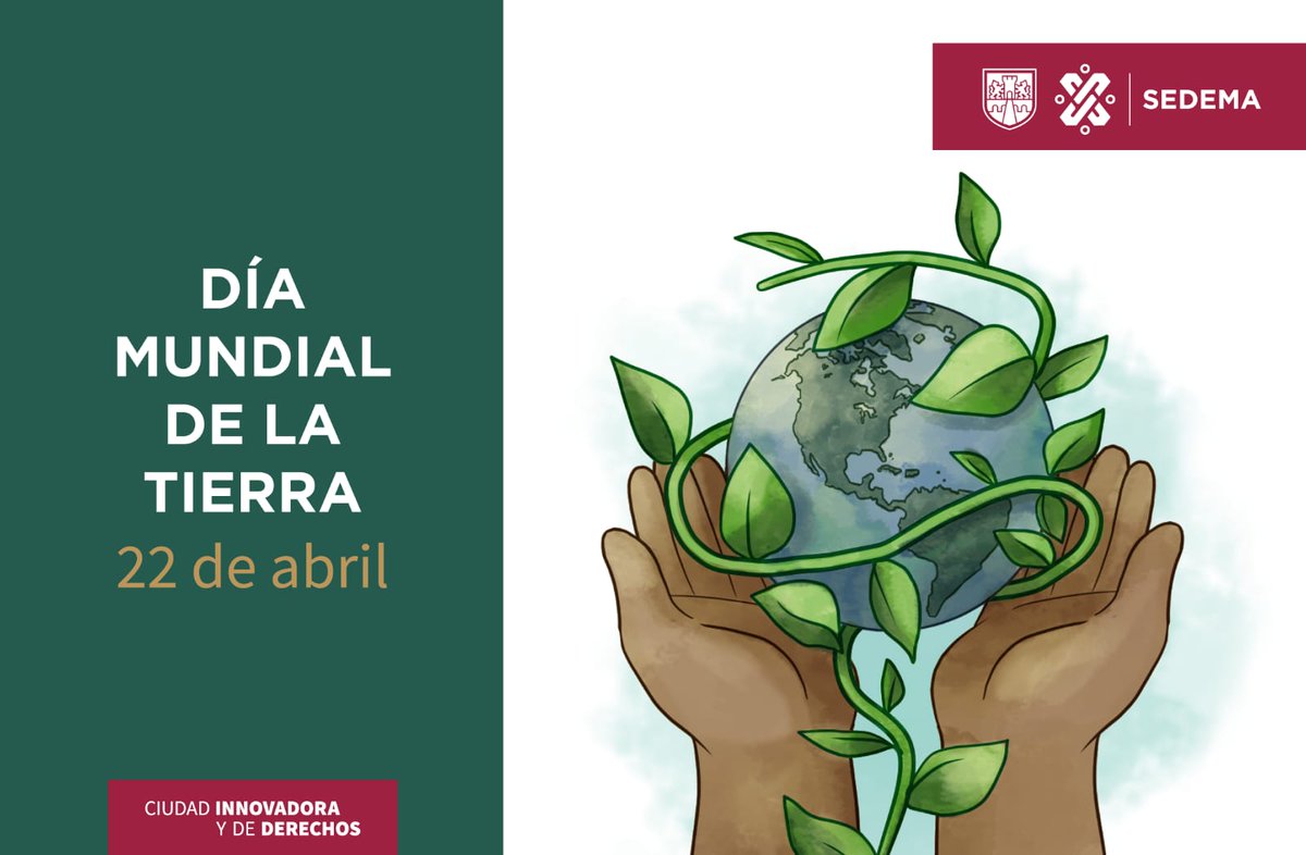 A través de estos programas cuidamos a nuestra #MadreTierra, ¿los conoces?

⛈️#CosechaDeLluvia: aprovecha el agua que cae del cielo
🌱#AltépetlBienestar: conserva y protege el Suelo de Conservación, y apoya a productores
♻️#BasuraCero: busca reducir los residuos que se generan