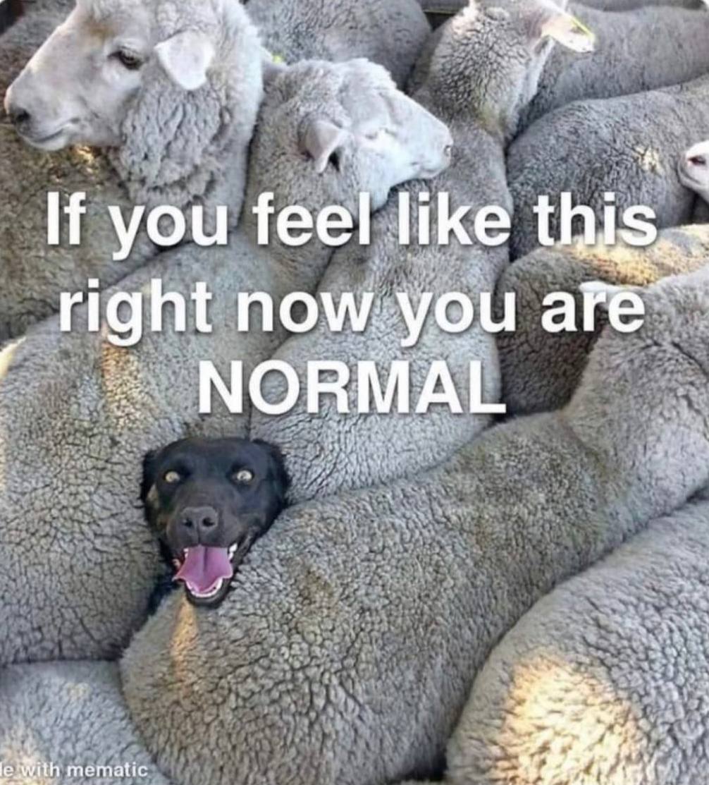 Wayne A. Willbur (@waynesellsla) on Twitter photo 