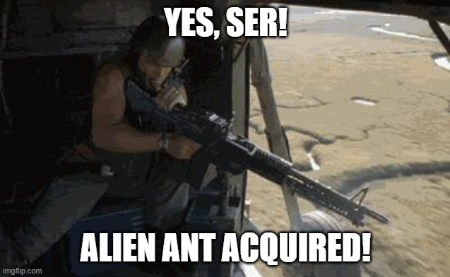 Sol_Alchemist's tweet photo. @AlienAntsGen1 #AlienAntsGoMoon #AAApoc #AlienAntAnthology #AlienAntCodes $AAA #survivorserver #Antkrieg #Antacalypse #chitchit #SolanaNFTs #ethereumNFTs #nfts #nfts #NFTCommunity https://t.co/aBMbnCI43f