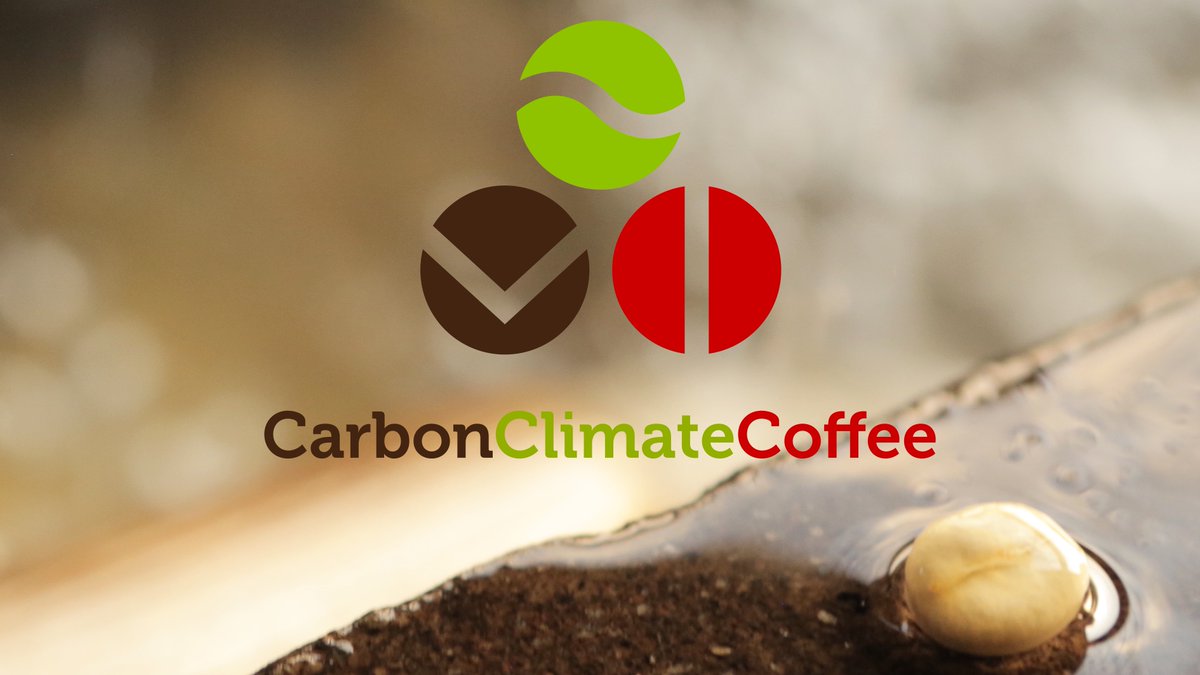 This Earth Day, we’re excited to launch the Carbon, Climate, and Coffee website! This initiative supports carbon-sequestering agricultural practices and innovative farmer-led projects. Many exciting project updates are in the works, so please stay tuned!
carbonclimateandcoffee.com