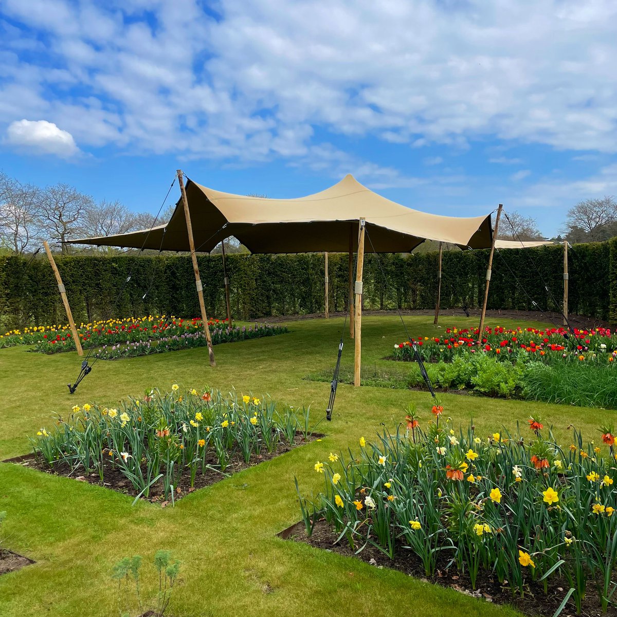 Hoe mooi is dit? Je trouwceremonie tussen de plukbloemen bij @pluktuinstroeberries

#stretchtenthuren #bosverhuur #wedding #trouwerij #vanbos #stretchtents #stretchtent