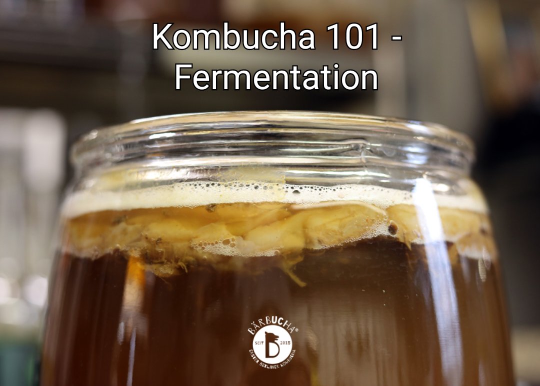 Baerbucha's tweet photo. The last part in Kombucha 101 series!
https://t.co/zHjL1Ml4Mi https://t.co/M3a1ZNQ32e