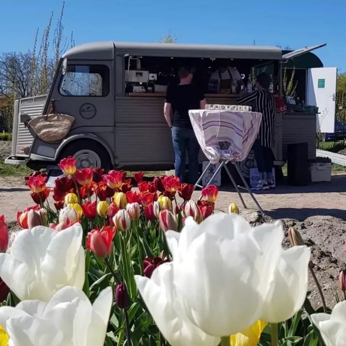 Dit weekend, 23 en 24 april, vind je Monibarista’s koffiebus bij de tulpensoortentuin. Onderduikerspad Espel Noordoostpolder
#tulpenfestival #boccacoffee #citroenhy
