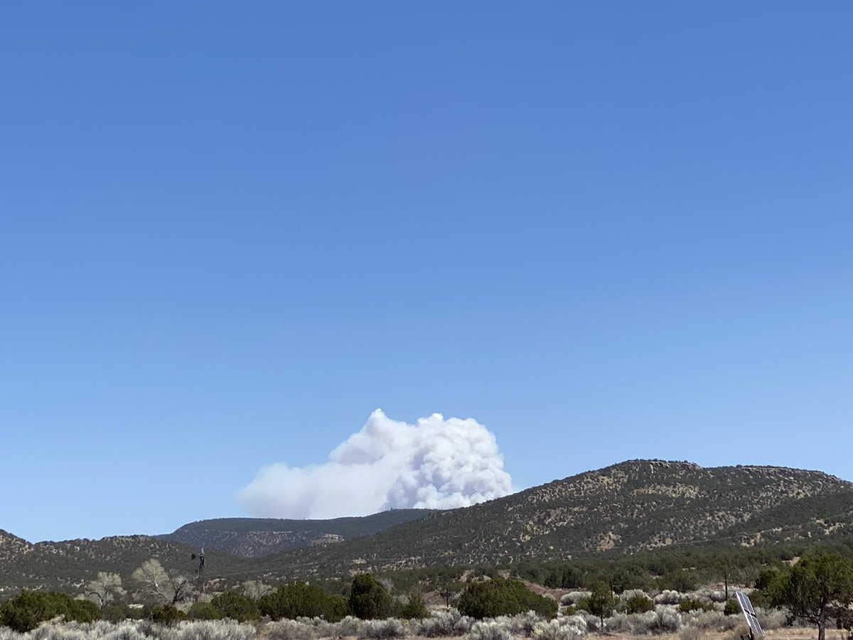 HeidiSocial's tweet photo. The #CalfCanyonFire seems to be blowing up again. This is my view from Lamy looking northeast. We just had some very strong wind gusts here too — almost knocked my little dog over. Better put her on a leash next time. 😬 #NMFire https://t.co/rFuG19Wwp4