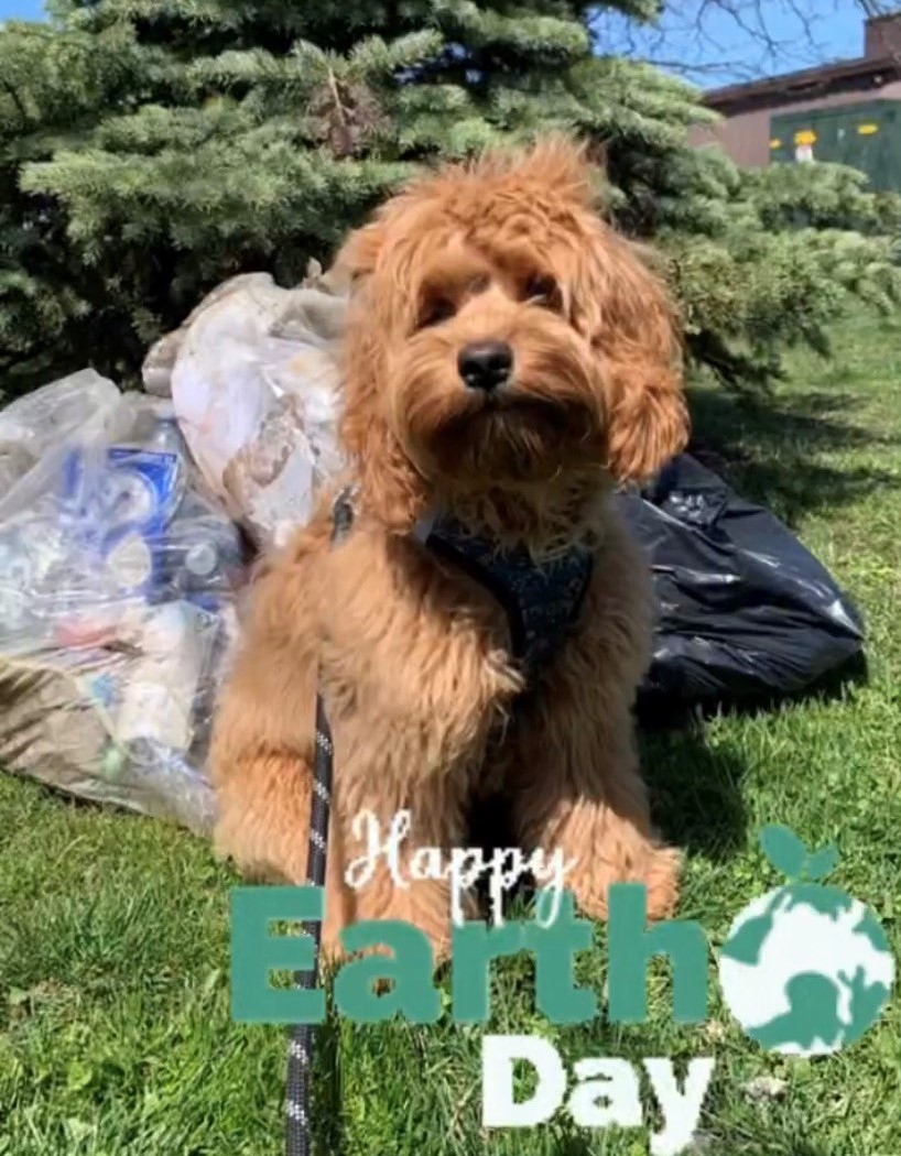 Excited to kick off #EarthDay w/ a commitment to #InvestInOurPlanet! 🌎
Sales Manager, Kayla &amp; sidekick Lennon participated in a mini #litter cleanup. (While at times Lennon forgot that the mission was to collect and not eat the litter, he still did a pretty good job). ♻🐶