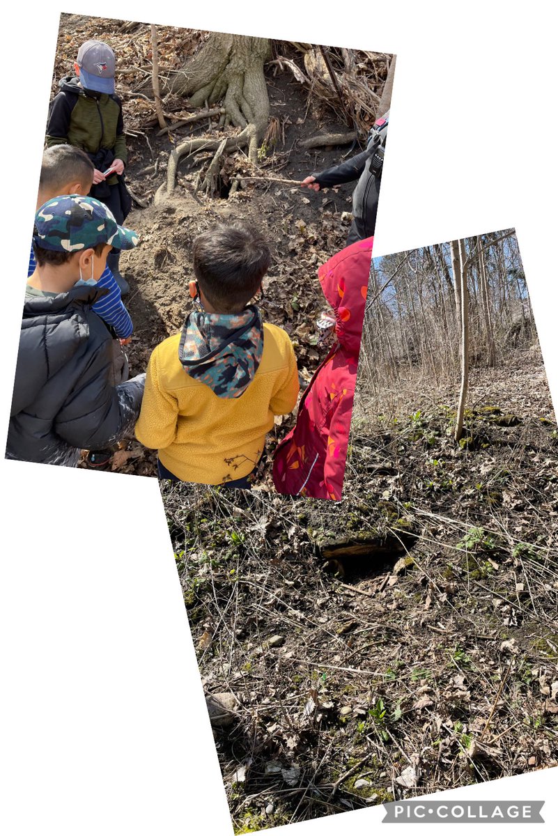 And now all GRG classes have had the Forest Valley experience! We’ve heard it was the #BestDayEver