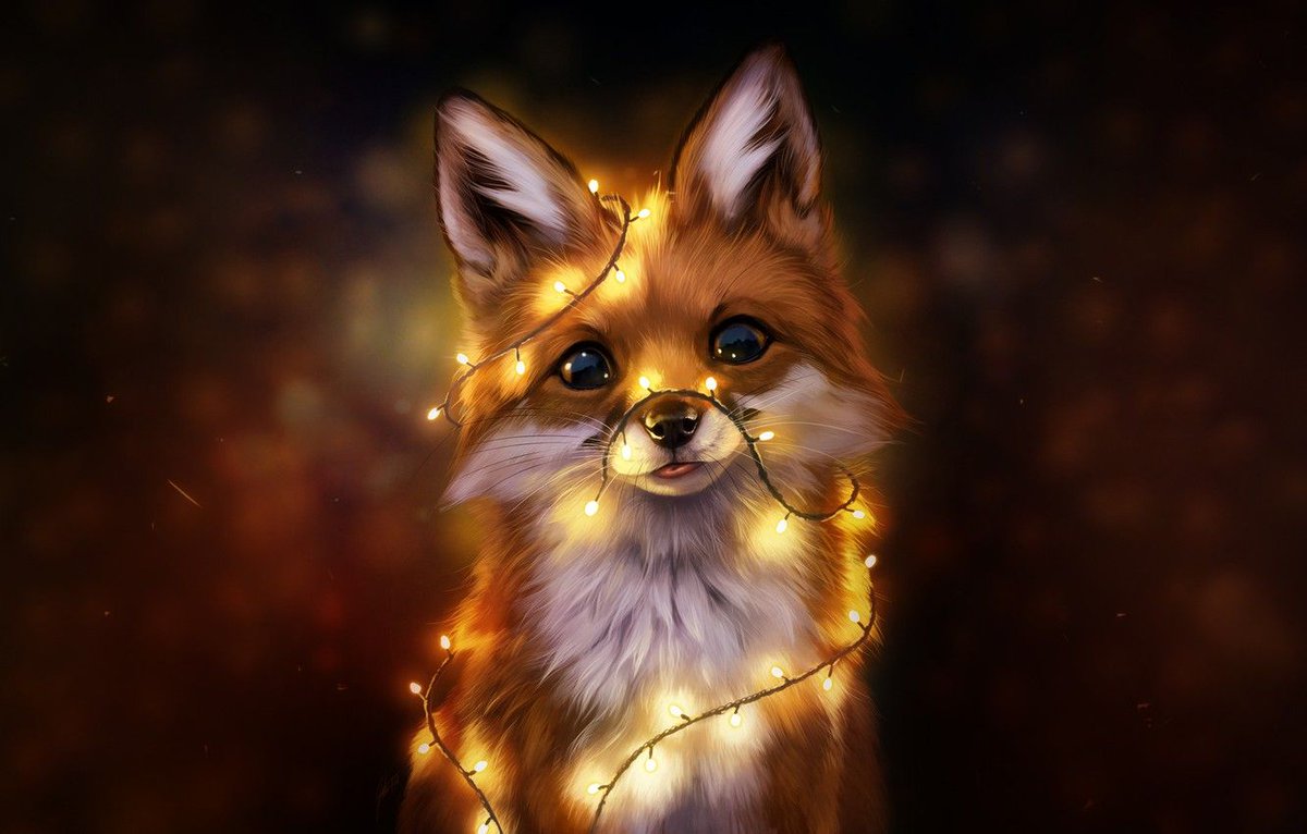 “Learn to light a candle in the darkest moments of someone's life. Be the light that helps others see; it is what gives life its deepest significance.” That what we are doing in the private foxes discord, happy to see you with us 😉 discord.gg/HqMqfhNssD