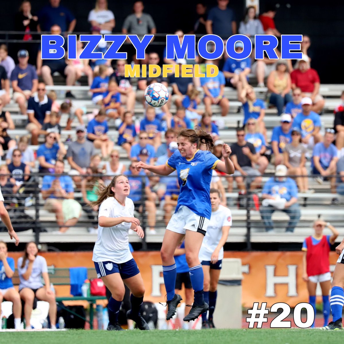 The Wolf Pack tweet media