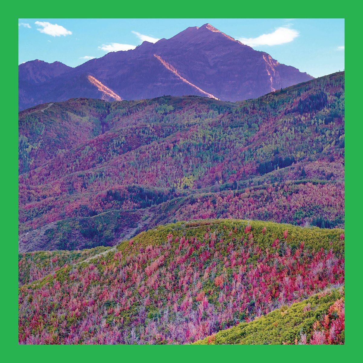JoltSoftware's tweet photo. We hope your Friday feels as good as this field of flowers looks!
📌 Cascade Springs, Utah
#jolt #joltsoftware #peaceofmind https://t.co/t1k31fWVvn