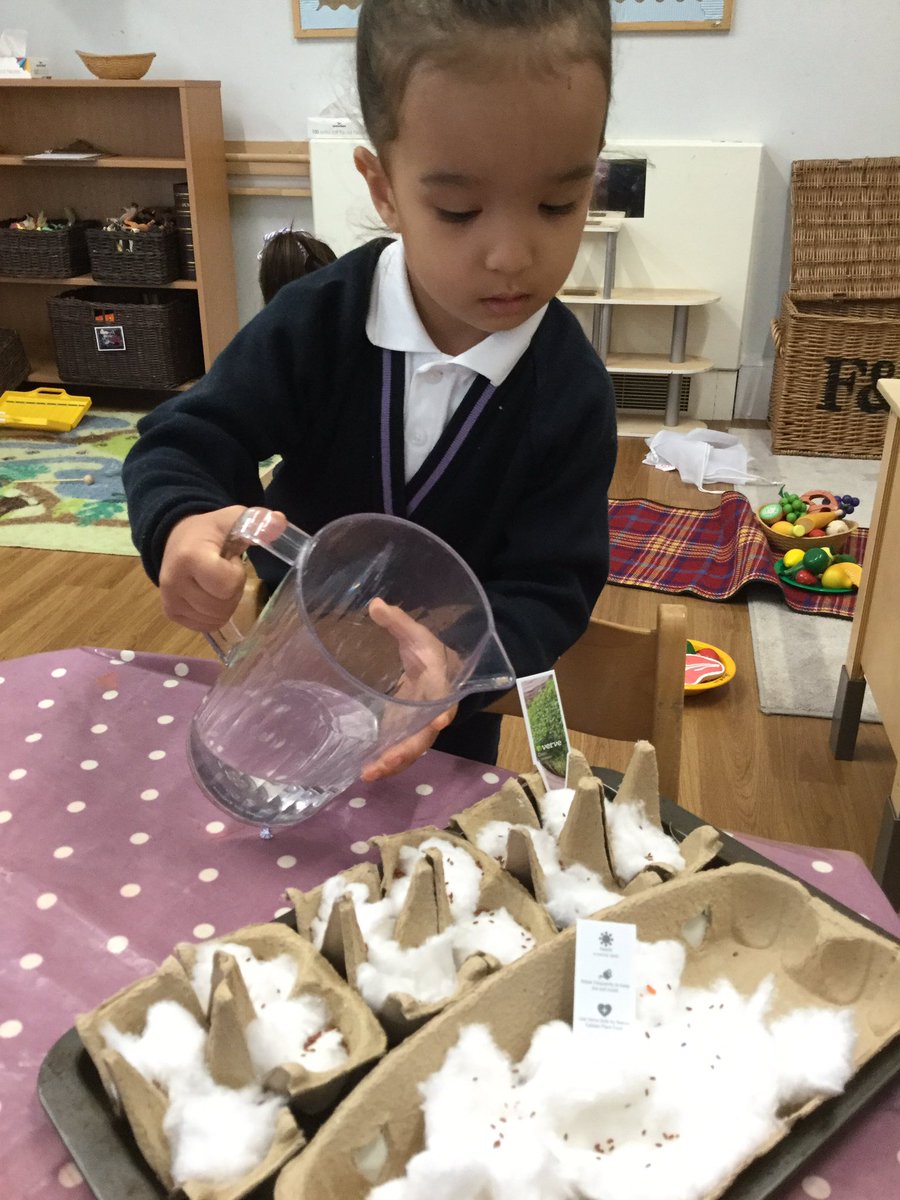 RuspiniHouseRMS's tweet photo. Celebrating #EarthDay2022 by sowing our cress seeds into cotton wool! We’re excited to see them grow and eat them in our egg sandwiches next week! 🥪🍃 @RMSforGirls https://t.co/c2k8uF3l4O