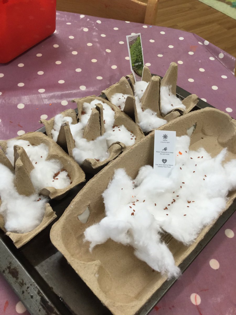 RuspiniHouseRMS's tweet photo. Celebrating #EarthDay2022 by sowing our cress seeds into cotton wool! We’re excited to see them grow and eat them in our egg sandwiches next week! 🥪🍃 @RMSforGirls https://t.co/c2k8uF3l4O