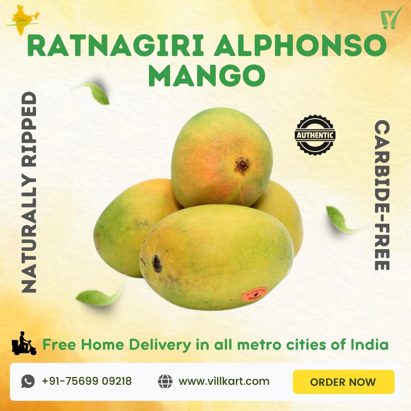 villkart's tweet photo. Buy Best Quality Mangoes directly sourced from the farms to your doorstep. Apply this coupon G76369VS82AJ to get ₹99/- OFF
- Carbide Free
- Directly from Farm
- Naturally ripened
Get Free Home Delivery in metro cities of India. 
https://t.co/RZoR6njXnz
WhatsApp- +91 75699 09218 https://t.co/1feOrYmfFk