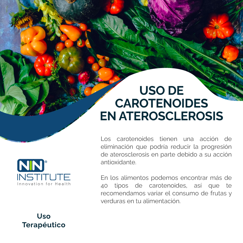 Los carotenoides son pigmentos liposolubles producidos por plantas y microorganismos muy presentes en frutas, verduras, algas y mariscos, y componente fundamental de los alimentos mediterráneos. 

#UsoTerapeutico #NinInstitute #InnovationForHealth