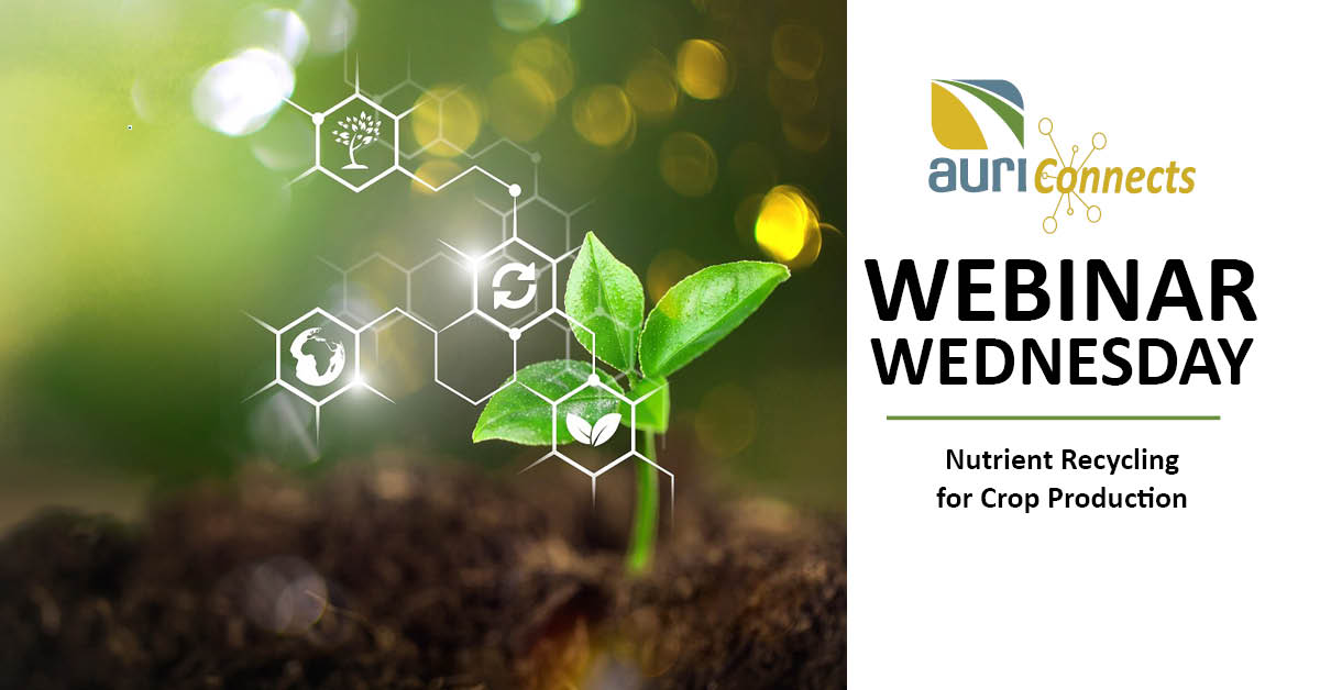 Supplemental nutrients are a critical component for crop production in the U.S. and around the world.

Join AURI Connects: Webinar Wednesday — Nutrient Recycling for Crop Production on May 11 from 12:00–1:00 p.m. CT.

📅 Register: ow.ly/7QfE50IMAce

#EarthDay