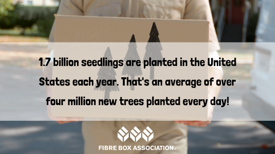 It's Fast Facts Friday! 1.7 billion seedlings are planted in the United States each year. That's an average of over four million new trees planted every day! #ForestFacts #EarthDay