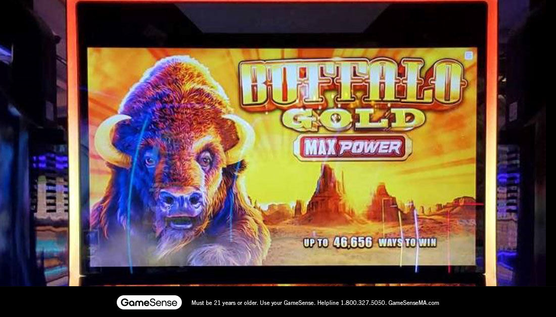MGMSpringfield's tweet photo. Buffalo Gold MAX Power, welcome to the floor! 🐃 
.
.
.
Who else is excited about this new edition?! https://t.co/suGk8FEIGn