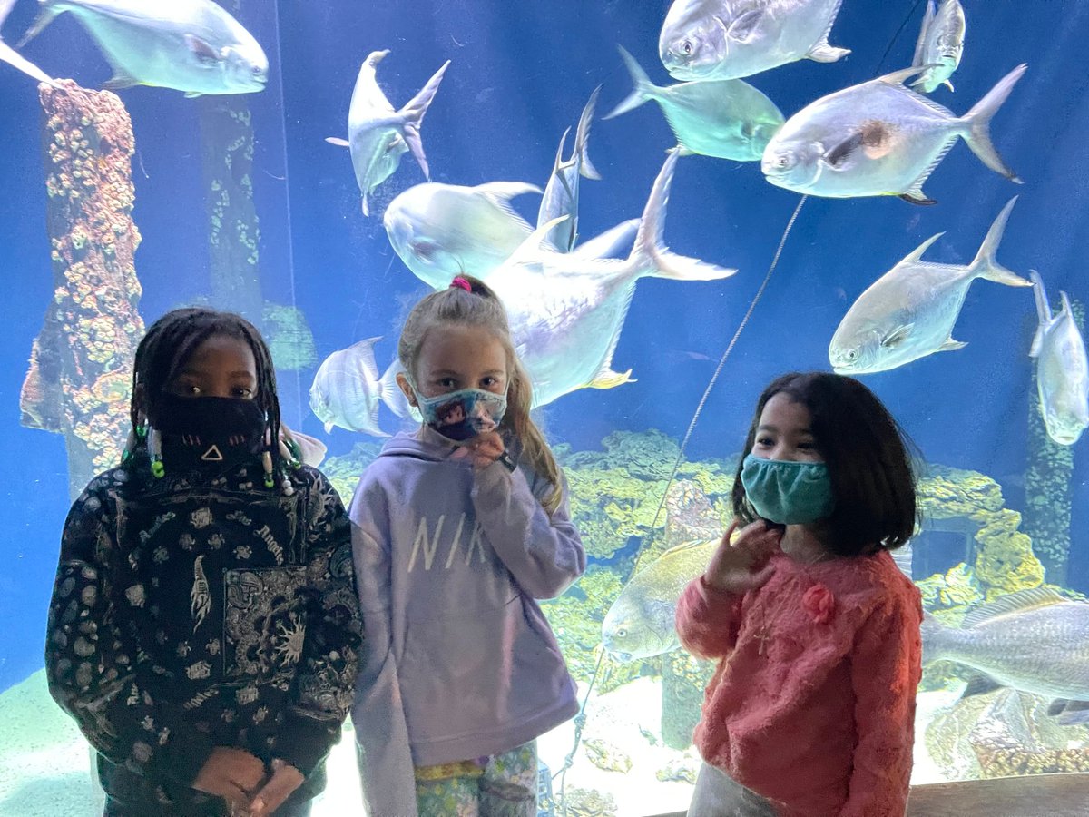 langleyroars's tweet photo. 1st Grade had a blast this week on their field trip to the Virginia Living Museum! 🐾 #leopardsroar https://t.co/bYRobm5Mx2