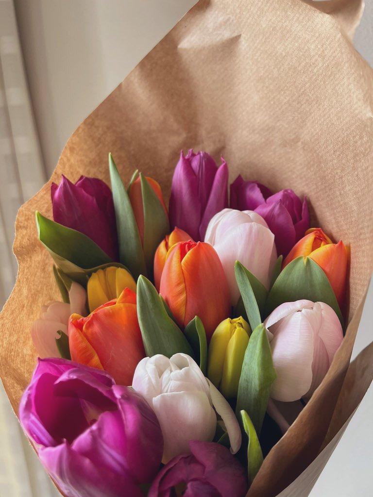 roosiles98's tweet photo. Formas de alegrarme un viernes lluvioso
😍🥰🌷 https://t.co/8l6VIVJBo2