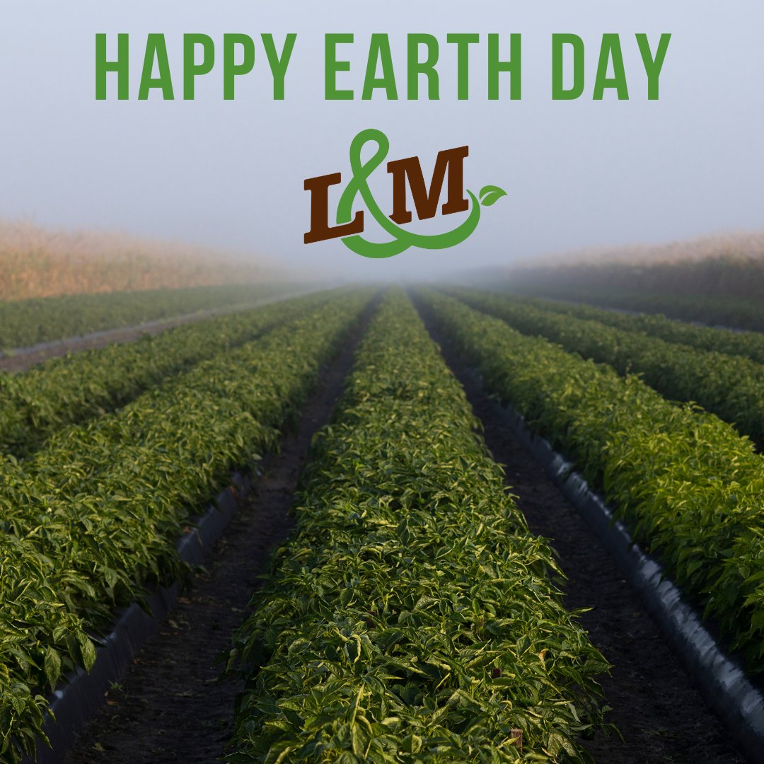 LMCompanies's tweet image. No day goes by where we are not grateful for the land we get to cultivate 💚 Happy Earth Day from L&amp;amp;M Family Farms! 

#lmfamilyfarms #earthday #agriculture #nofarmsnofood #freshproduce #rootedininnovation