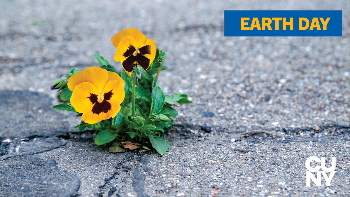 This #EarthDay let's celebrate our precious home and make it a better place! 🌎

Learn more about the Earth Day celebrations happening across CUNY:  ow.ly/BUMi50IP14f