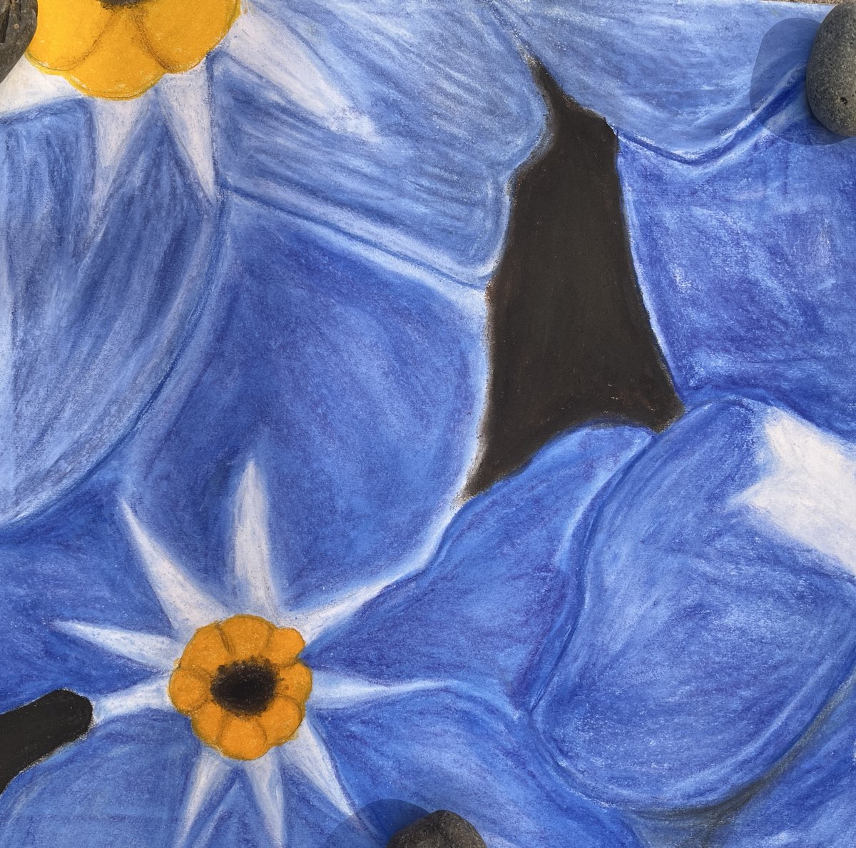Happy Earth Day! ♥ 7th grade artists