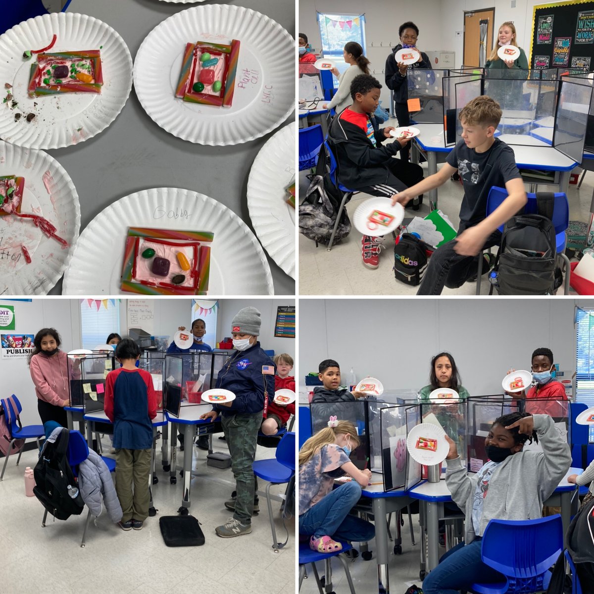 5th graders create models of plant and animal cells to show each of the cell parts with candy.