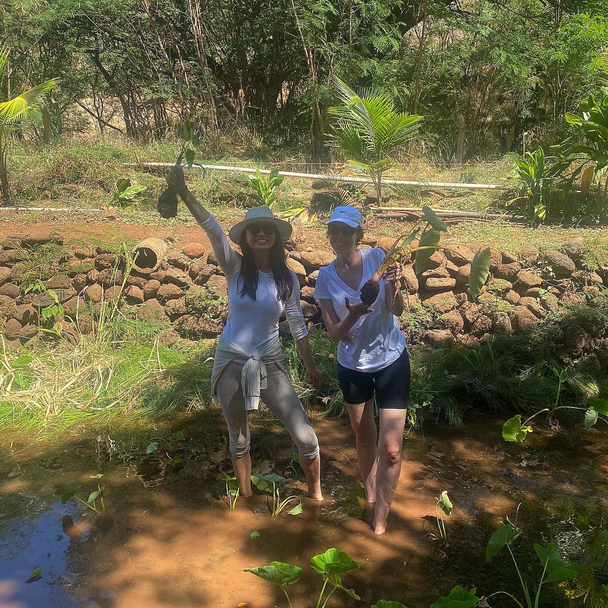 ralineshah's tweet photo. Earth day loving! #MyConnectWithSoil #SaveSoil #Earthday https://t.co/fJGeLwePia