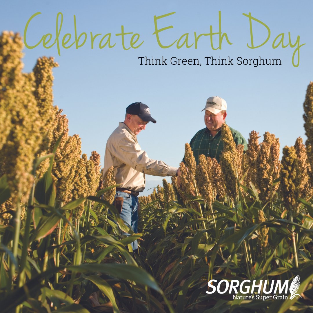 SimplySorghum's tweet photo. Help keep our planet healthy by thinking green & thinking sorghum! Learn about how sorghum is The Resource Conserving Ingredientโข, visit https://t.co/p7SAyxAQsC.
#SorghumSustains #SimplySorghum #ResourceConservingCrop #AD https://t.co/iW6ltxnSUA