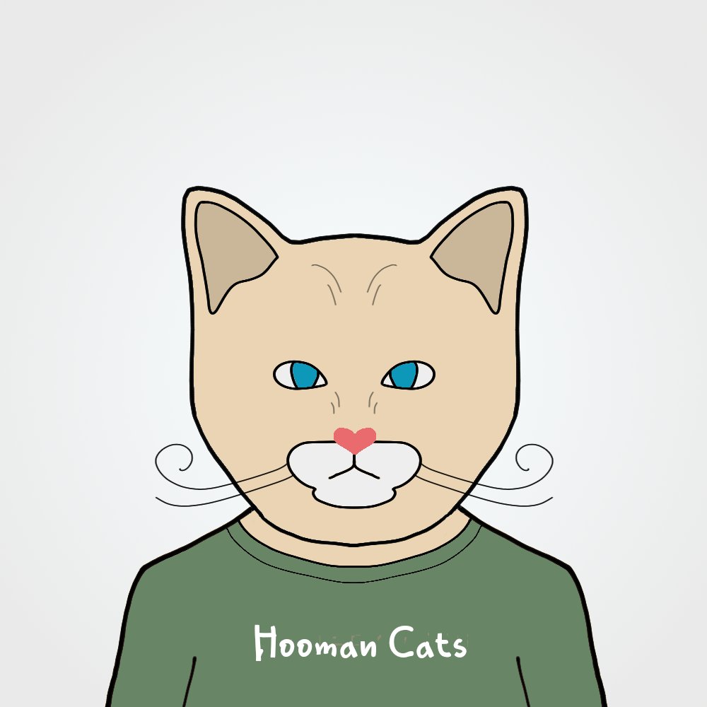 Hooman Cats is now up at @Ravenmintcom!

Mint your unique NFTs at ravenmint.com/collections/ho…

Explore the world of Hooman Cats as they embark on their journey to conquer the world.
