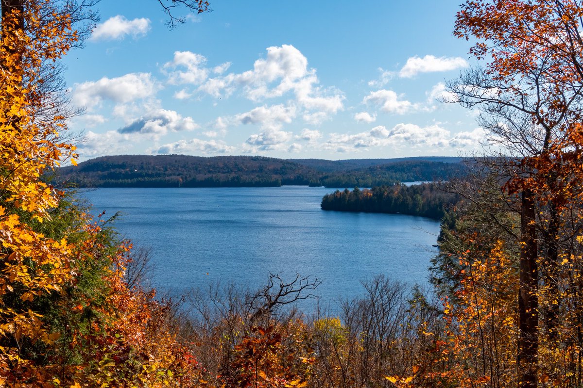Happy Earth Day! 🌎 These are some images from the last couple of years at <a href="/Algonquin_PP/">Algonquin Provincial Park</a>.
#photography #landscapephotography #EarthDay #EarthDay2022 <a href="/OntarioParks/">Ontario Parks</a>