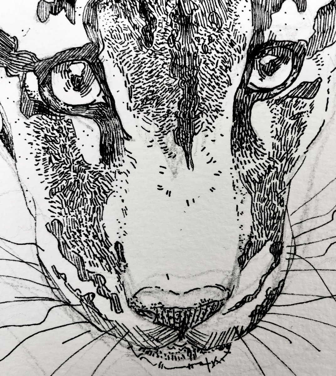 CWASDumbo's tweet image. Starts this Monday!
Beginner Drawing Techniques for Teens
creativelywildartstudio.com/spring-teen-sc…

#AfterSchoolDrawingClasses #BrooklynDrawingClasses #ArtClassesforTeens #CreativelyWildArtStudio @dumbobrooklyn