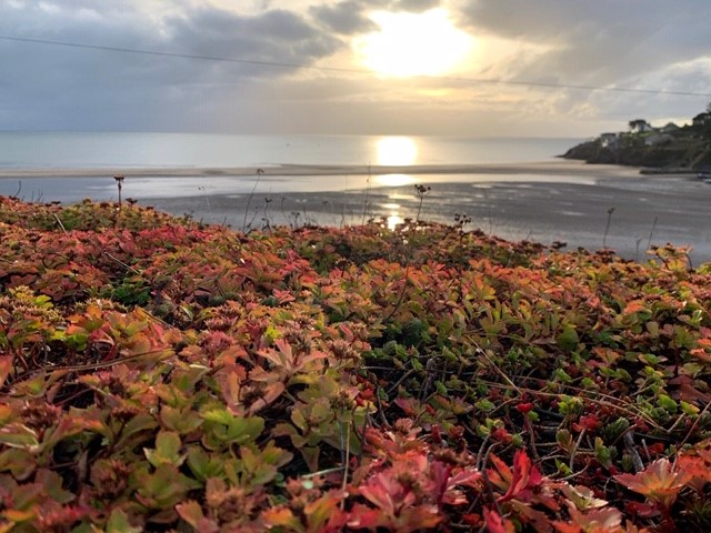 SkyGardenUK's tweet photo. Another great week comes to an end . Enjoy the weekend!
#Fridayfeeling #greenroofs #jobswelldone #greenitall #nature #biodiversity #environment #urbangreenining #eco #climatechange https://t.co/hoHj2RZGJD