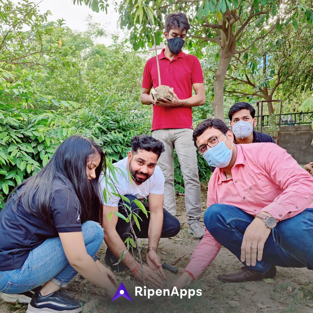 RipenApps tweet media