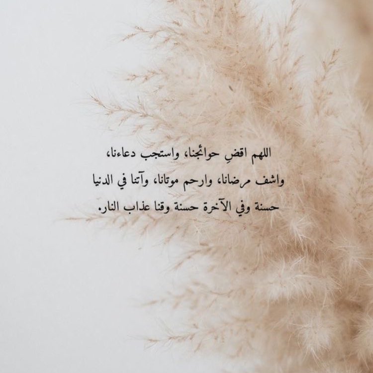 فايزه . (@i_fayzah) on Twitter photo 