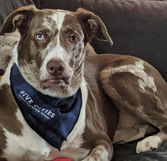 Five Cities Brewing tweet media