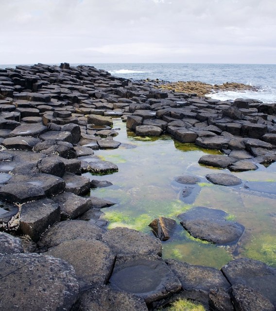 WHunter000's tweet photo. Giant's Casueway, North Ireland where we have natural hex stones!
@ErthaGame  #erthaday #erthday

Photo © Alex McGregor (cc-by-sa/2.0) https://t.co/cVWPkdTmax https://t.co/1NiYocTVxJ https://t.co/463s9lG8vN