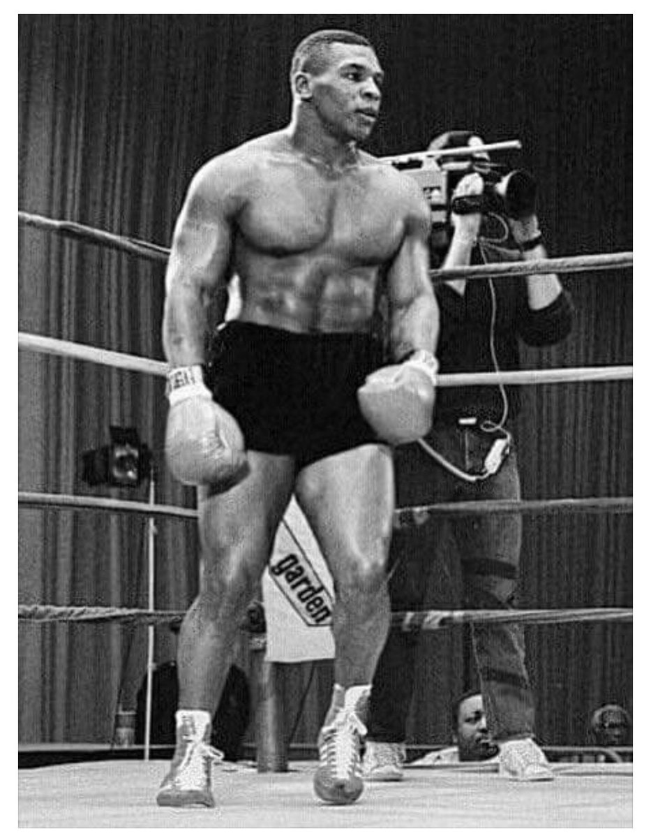 Azazelfit's tweet photo. "Discipline is doing what you hate to do, but nonetheless doing it like you love it." - Mike Tyson
#miketyson #stoicism #stoicquote #monkmode #ultimatechad #anxiety #Trending #motivation #gymmotivation #selfimprovement #semenretention #tyson https://t.co/m8oLLlVn5m