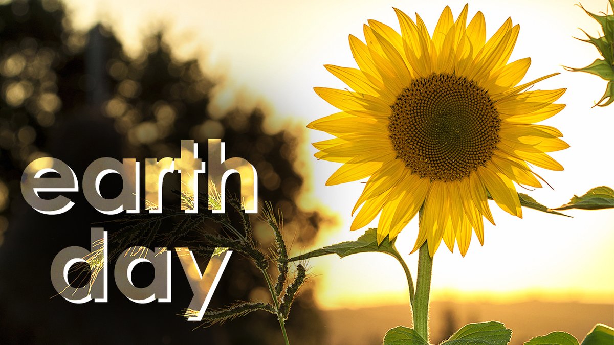 ItsTheInventory's tweet photo. Honor Mother Earth with sustainable consumption this Earth Day https://t.co/hY3ohGXDG2 https://t.co/Zb5b6EzYxF