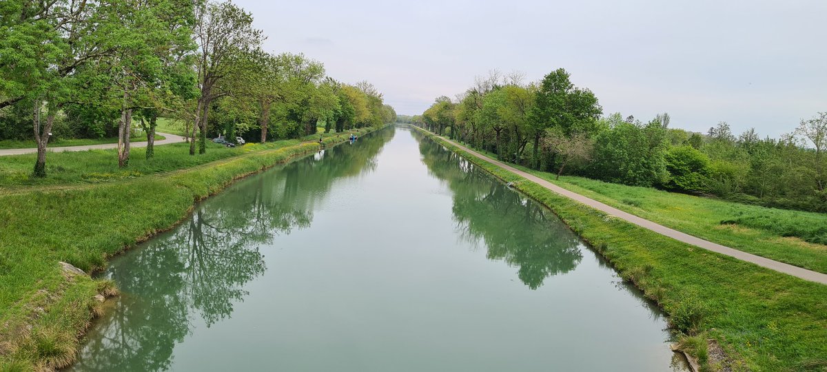 #BaladeSympa sur le Canal du midi 🚴‍♂️ #BaladeSympa #occitanie  #nature #paysage #MagnifiqueFrance #BeautifulFrance #vendrediphoto 📸