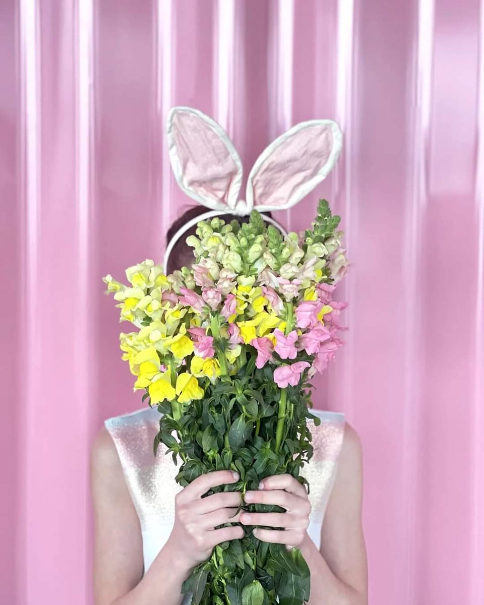 Bunny kisses & Easter wishes 🐇🌷🤍
 #willtravelforpink  #pinkaesthetic #allpink #pinklover #easter #mood #girl #littlegirl #easter  #bunny #ears #amazing #livepink #cantwait #joinus
