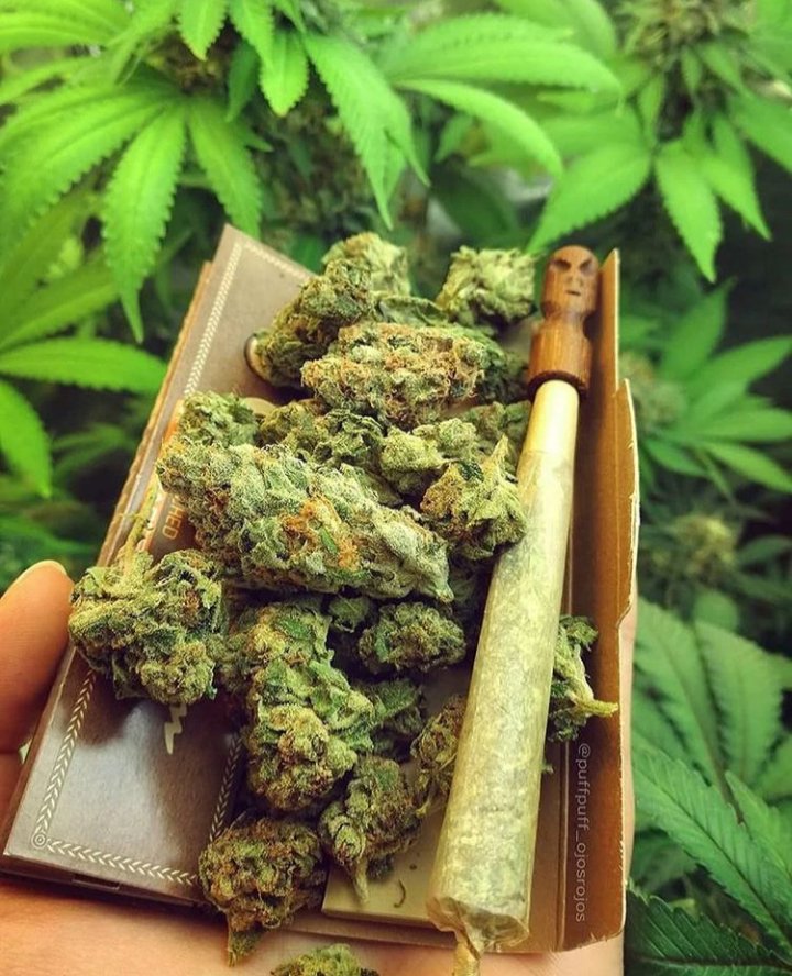 Diario4e20's tweet image. Uma sexta assim, seria tudo 🍁❤️