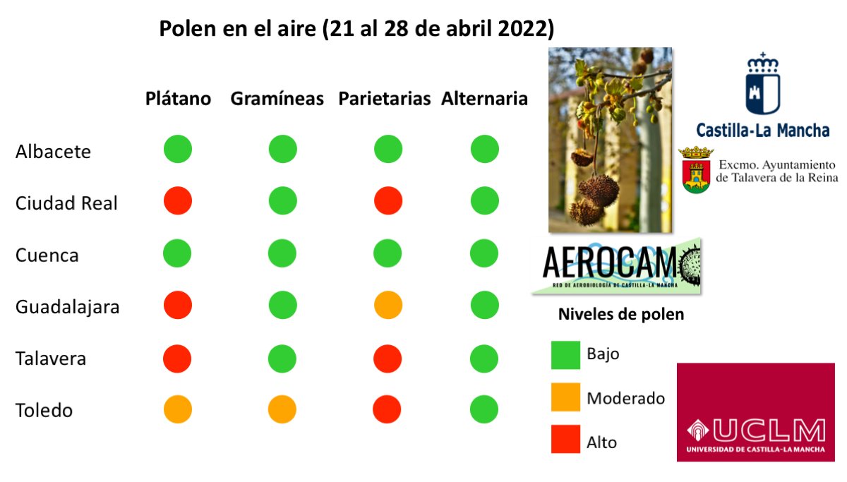 Polen Castilla-La Mancha tweet media