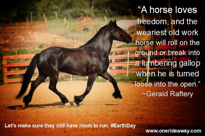 SteveRother's tweet photo. Happy Earth Day!

#EarthDay #EarthDay2022 #Horses #OneRideAway #RoomtoRun https://t.co/y9usloqUXQ