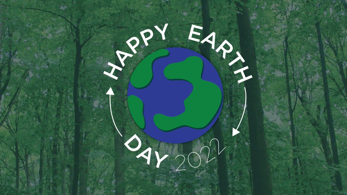 MSU Forestry tweet media