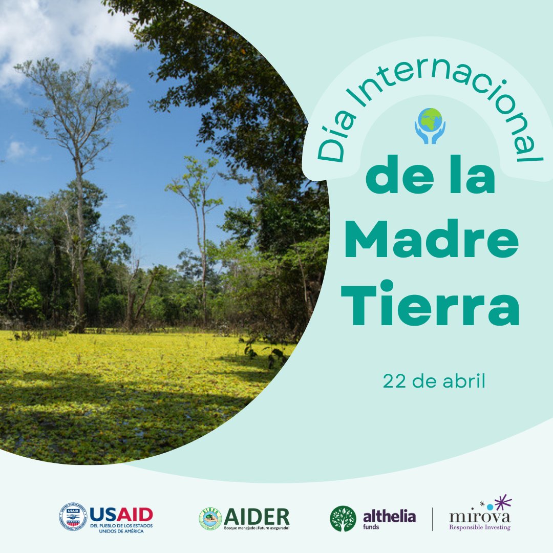 AiderONG's tweet photo. Conoce cómo la Alianza Forestal y la acción indígena promueven la protección de los bosques y la mitigación del cambio climático. 
#DíaInternacionaldelaTierra #InternationalEarthDay #AlianzaForestal #ForestAlliance #ManejodeBosquesComunales https://t.co/e7TsVMXFA7