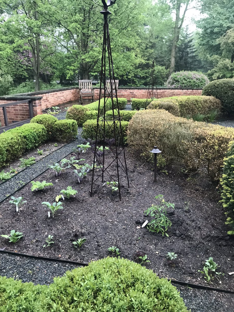 Happy Earth Day 2022! What’s more sustainable than growing some food yourself. We are planting gardens this week in anticipation of harvests in a few months. #EarthDay #goodfood #localfood #sustainable #growyourown #ediblegardening