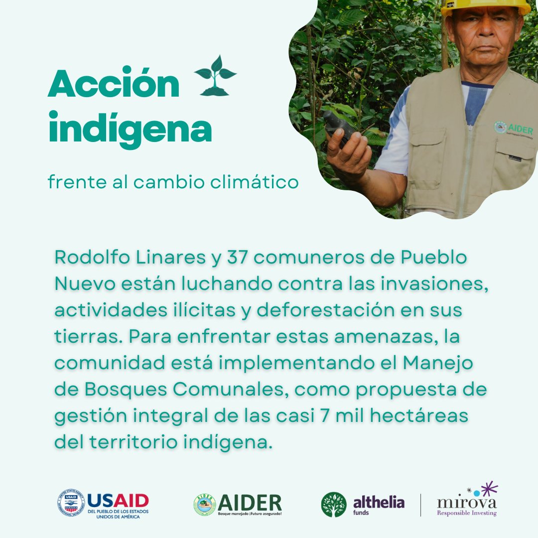 AiderONG's tweet photo. Conoce cómo la Alianza Forestal y la acción indígena promueven la protección de los bosques y la mitigación del cambio climático. 
#DíaInternacionaldelaTierra #InternationalEarthDay #AlianzaForestal #ForestAlliance #ManejodeBosquesComunales https://t.co/ircRnBHL5Y
