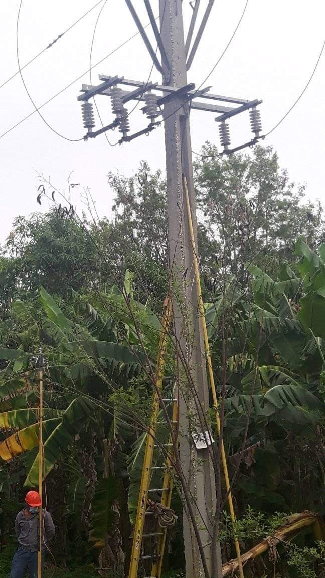 granma_empresa's tweet photo. En el día de ayer eléctricos pertenecientes a la UEB Bayamo se realizaron podas en el circuito Alba  previendo posibles afectaciones, además se le dió mantenimiento a las redes. #electricosgranma #electricosalserviciodelpueblo #CubaViveYTrabaja
#PorGranmaLoMejor https://t.co/Vc6AyS3pwm
