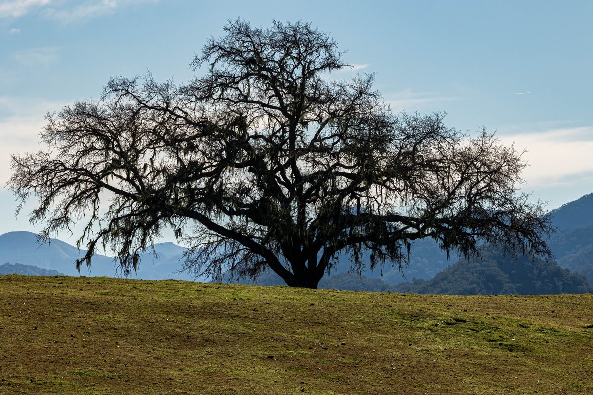 tmadsen805's tweet photo. Happy Earth day from the Central Cost of California.
#EarthDay https://t.co/4xYMF0xoBf