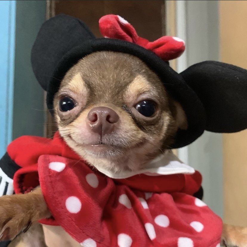 exifyfnn's tweet image. I miss us @deadboyvon @Jujuulol_